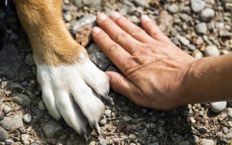 Haga la prueba de los 7 segundos para comprobar si el suelo tiene una temperatura adecuada.