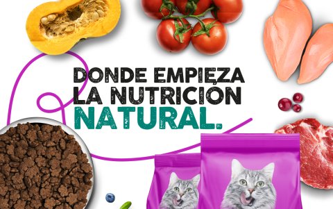 Razza para todo tipo de gato.