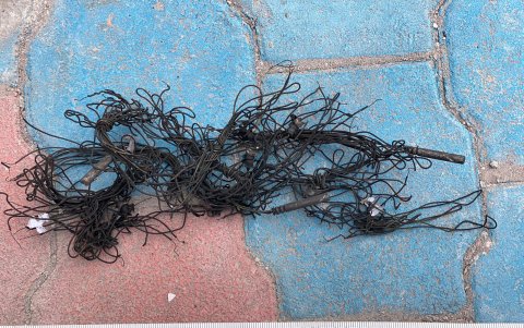 Evidencia encontrada en el Centro Histórico.