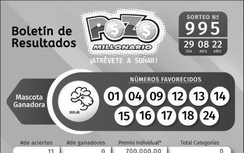 BOLETIN POZO 995, LUNES  29 DE AGOSTO_2022