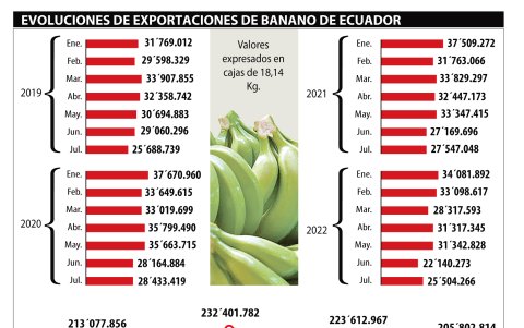 La evolución de la exportación de banano de Ecuador