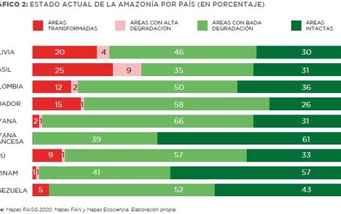 Gráfico sobre los porcentajes del impacto de actividades del hombre en zonas de la Amazonía.