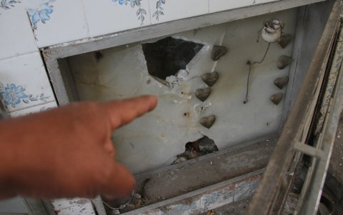 Ataque. Las lápidas están rotas en algunas zonas.