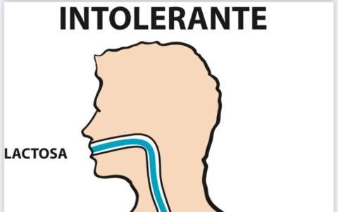 El recorrido del consumo de lactosa en un paciente intolerante.