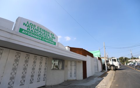 el detalle
Campaña. Los martes, jueves y sábado, residentes de Los Ceibos realizan plantoneras en contra de la construcción y la norma de la Gaceta 37.