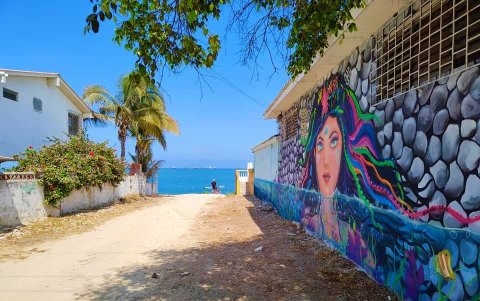 Las pinturas contrastan con las calles de tierra del lugar. Los lienzos están inspirados en la gente de Ballenita y la vida marina.