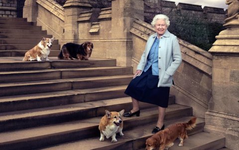 Isabel tuvo más de 30 corgis.