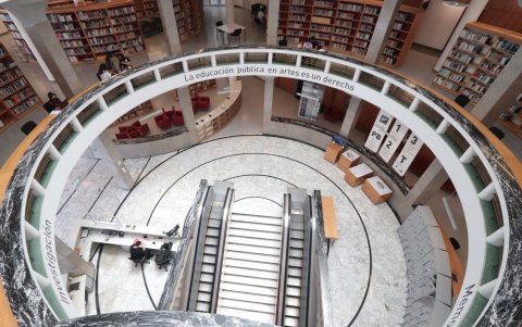 Los bibliotecólogos piden a las autoridades darle la importancia que merece a esta profesión que, por cierto, debería estar presente en las entidades públicas donde se manejan decenas de decenas de archivos y documentos.