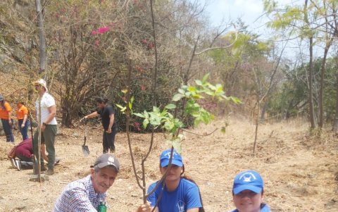 En el Bosque Palo Santo se sembraron varias especies nativas.