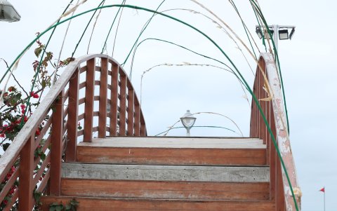 Malecón. El arbolado y parte de los implementos de un tramo del Malecón de Playas lucen también descuidados. En informe de Contraloría se hicieron recomendaciones por la falta de mantenimiento al paisajismo.