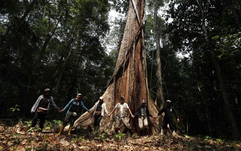 Defensa. Solo por defender sus propios suelos o denunciar estas ocupaciones son amenazados por estos actores criminales.
