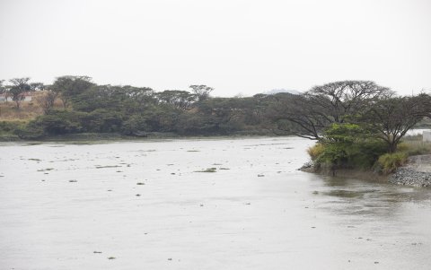 De la cuenca del Daule  dependen más de 5’000.000 de personas, incluyendo a la población de Guayaquil.