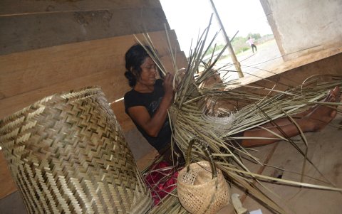 Un legado ancestral. Los petates se confeccionan desde la época Precolombina. También elaboran canastos y abanicos.