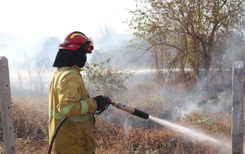 El personal bomberil continúa hasta el momento en el sector del kilómetro 36 de la vía a la costa.