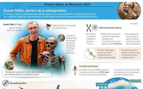 Infografía sobre los principales estudios y descubrimientos de Svante Pääbo