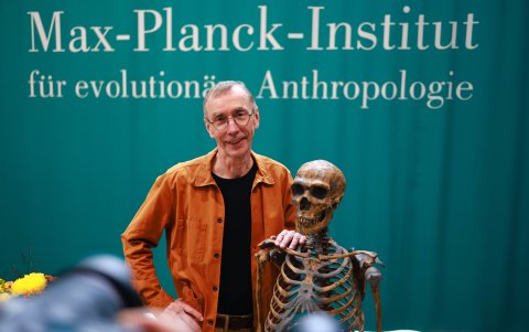 Desde 1997 se ha desempeñado como director del Departamento de Genética del Instituto Max Planck de Antropología Evolutiva en Leipzig, Alemania.