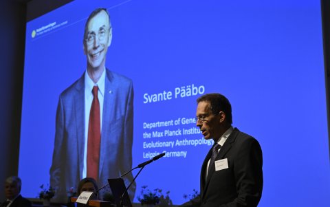 El secretario del Comité Nobel para Física y Medicina, Thomas Perlmann, anunció este lunes 3 de octubre en Estocolmo al biólogo Svante Paabo (en la pantalla), como el ganador de 2022.