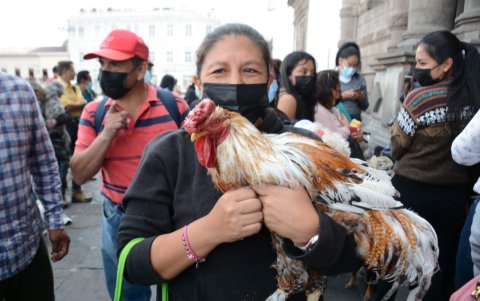 El gallo 'Pucho' recibió la bendición.