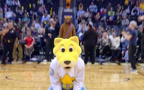 Rocky the Mountain Lion.