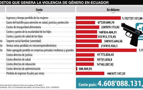 Detalle de los rubros que generan la falta de atención a las políticas contra la violencia de género.