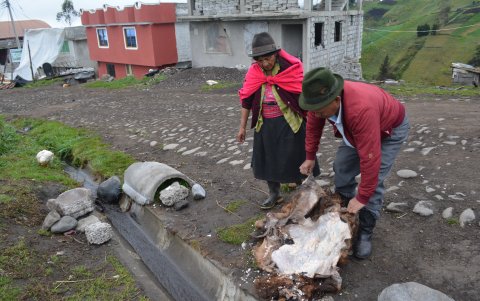 A mediados del siglo XX los talabarteros empezaron a verse afectados por la creciente industrialización, al ver cómo los tractores y motocargueros empezaban a reemplazar el trabajo del hombre a caballo.