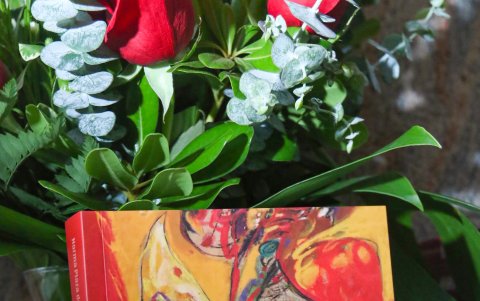 Portada de la novela Mariposa roja, de Norma Plaza de García.