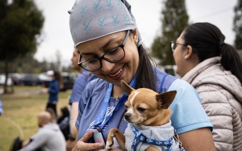 En Quito. En el Parque Metropolitano se desarrollo la carrera. La idea es que participasen toda la familia. Hubo quienes llevaron a sus mascotas.
