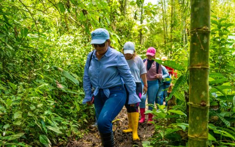 La caminata es de aproximadamente dos horas, en medio de la vegetación nativa que ofrece el sector.