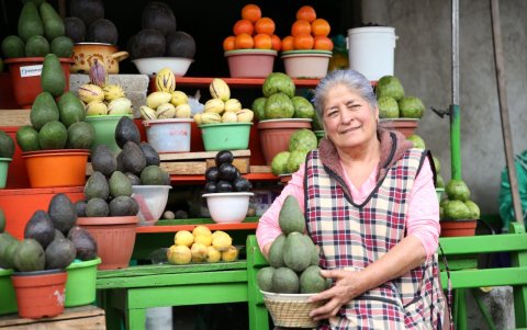 Frutas. Los aguacates, chirimoyas y otros cítricos son parte de los cultivos que se dan en Guayllabamba