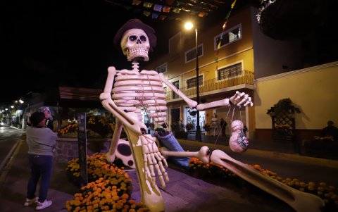 Las obras miden hasta ocho metros de altura.