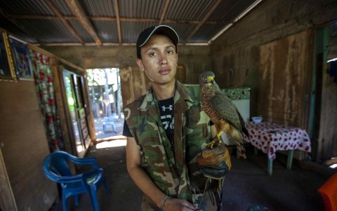 Nandaime (Nicaragua). Ronald Flores posa con un gavilán. Hasta hace pocos días el joven llevaba una vida que consideraba normal para un cetrero en una comunidad rural del Pacífico de Nicaragua.
