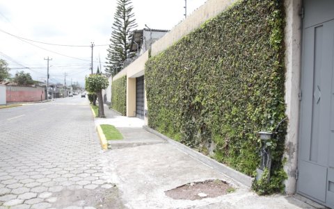 Desarrollo. Ya hay espacios donde las enredaderas crecieron con normalidad