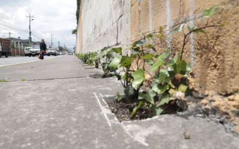 Laborioso. Realizar los orificios en la acera es lo complejo.