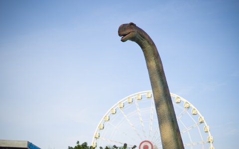 Los dinosaurios son el gran atractivo de la 'expo'.