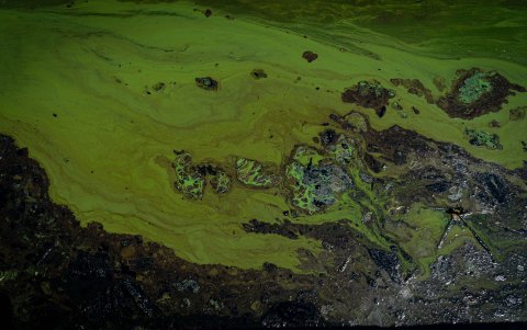 Fotografía de manchas de petróleo el 20 de octubre del 2022, en el Lago de Maracaibo (Venezuela).