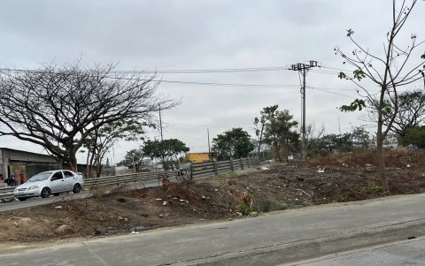 La basura ha llegado incluso a la zanja del sector.