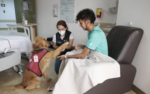 Apoyo. bruce es uno de los 