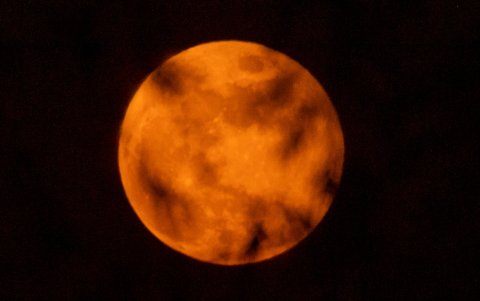 Mumbai, India, 08 November 2022.