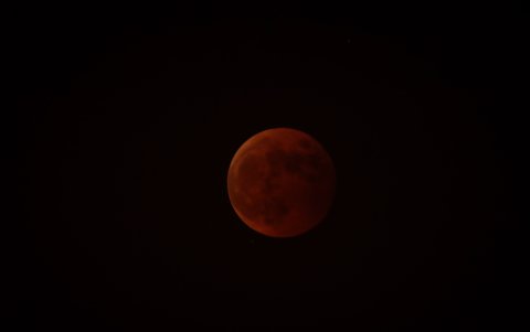 Beijing, China, 08 November 2022.