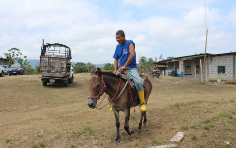 El automático. El caballo facilita los viajes. Les aplican el automático y ellos saben el camino de regreso a casa.