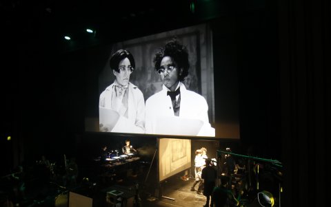 Está dividida en cuatro segmentos.