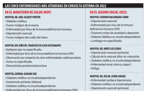 El gráfico resume las cinco patologías más comunes atendidas en algunos de los hospitales de Guayaquil.
