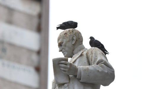 Hasta las estatuas sirven de sitio de descanso de estas aves que se multiplican en la urbe porteña.