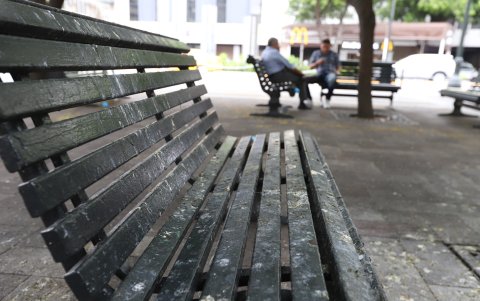 En las bancas de plazas y parques las palomas dejan sus excrementos.