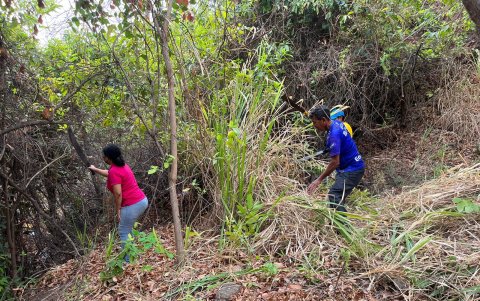 Los padres de familia con machetes cortaban la maleza y vegetación que había crecido sin control en el cerro