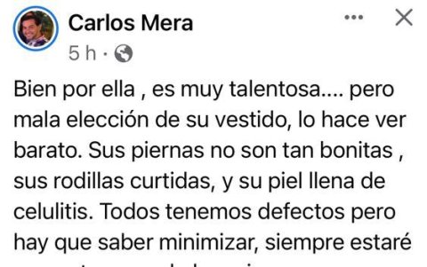 Comentarios del diseñador.