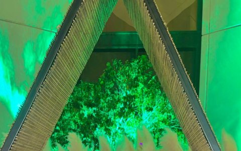 Parece que el futbolista no necesita de más que a su mamá y a su novia para disfrutar el tiempo libre.