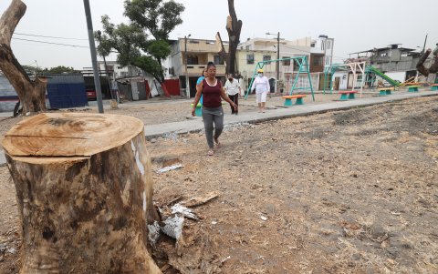 Solos los troncos de los árboles podados se observan en uno de los parques de la ciudadela Guayacanes.