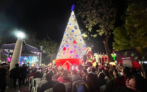 Los que llegaron se emocionaron al encenderse el árbol de navidad