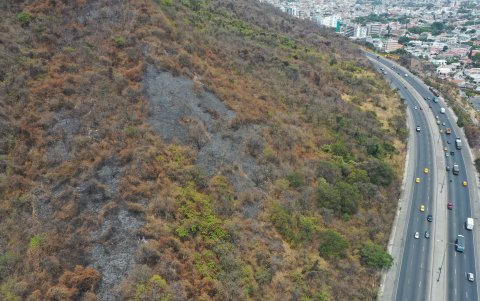Cerro Azul es uno de los sectores en donde se registran con frecuencias incendios forestales. El último fue el 5 de noviembre pasado.